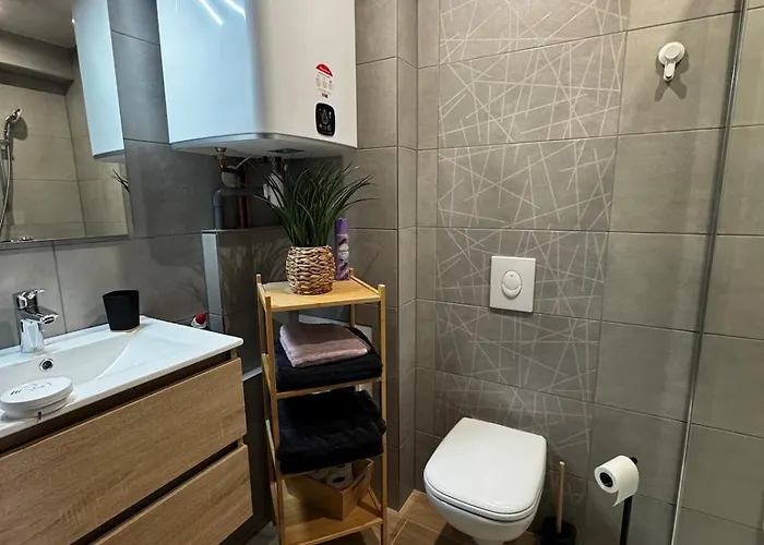 Le Pfeffel A Apartment Colmar